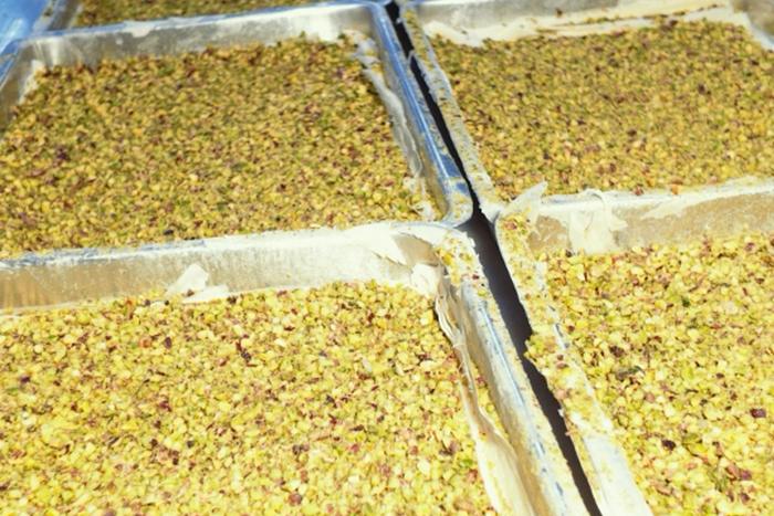 The pistachio gardens of the world